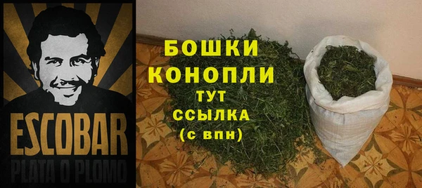 МДПВ Дмитров