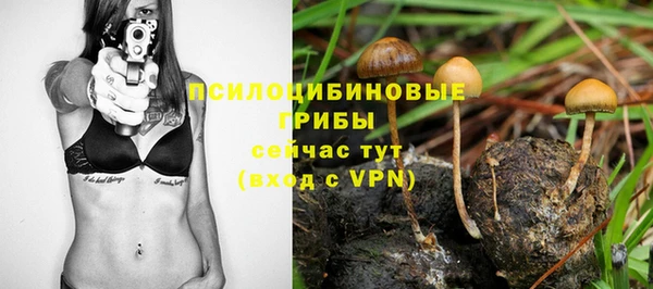 МДПВ Дмитров